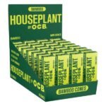 HOUSE PLANT