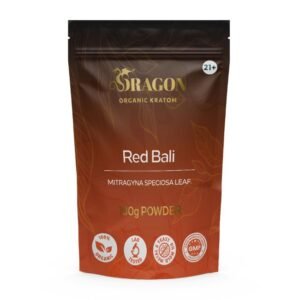 DRAGON ORGANIC KRATOM 100GM POWDER BAG